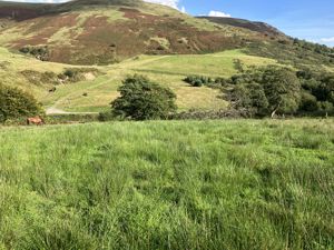 Photo 3- click for photo gallery